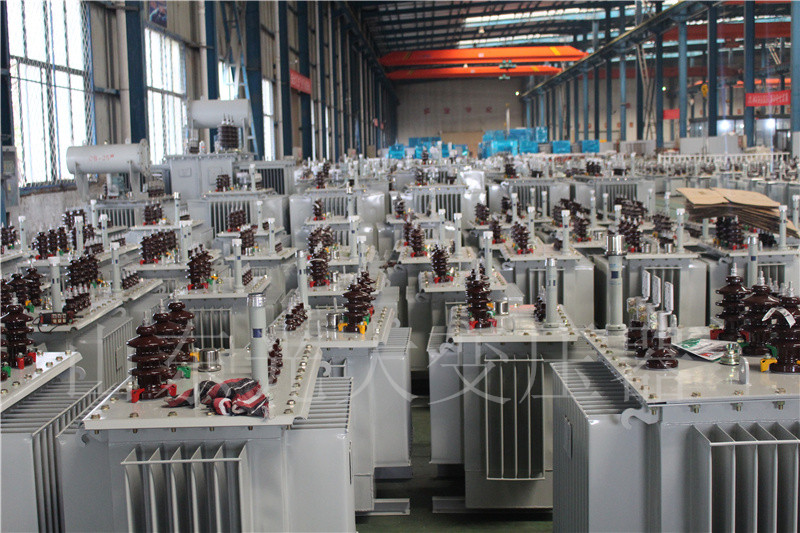 山丹S22-800KVA/10KV